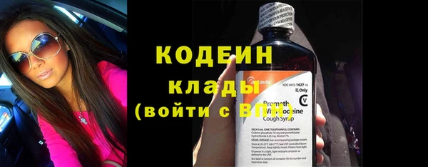 прущие крисы Гусев