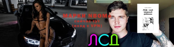 прущие крисы Гусев