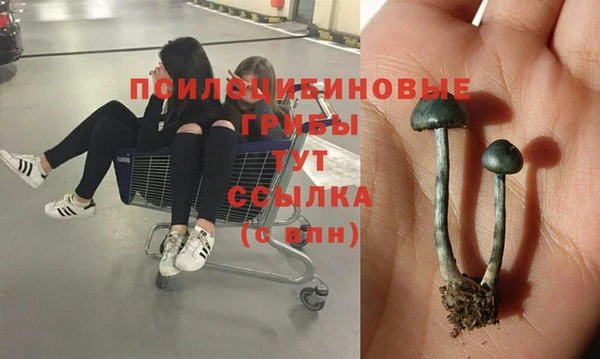 мдма Гусь-Хрустальный