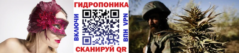 наркошоп  Орск  shop клад  МАРИХУАНА сатива 